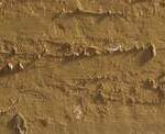 Caran d'ache neopastel - 037 brown ochre