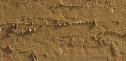 Caran d'ache neopastel - 037 brown ochre