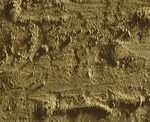 Caran d'ache neopastel - 039 olive brown