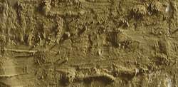 Caran d'ache neopastel - 039 olive brown