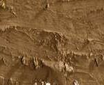 Caran d'ache neopastel - 047 bistre