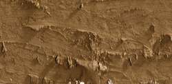 Caran d'ache neopastel - 047 bistre
