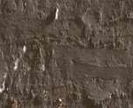 Caran d'ache neopastel - 049 raw umber