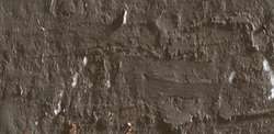 Caran d'ache neopastel - 049 raw umber
