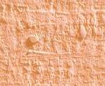 Caran d'ache neopastel - 051 salmon