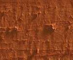 Caran d'ache neopastel - 065 russet