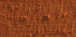 Caran d'ache neopastel - 065 russet