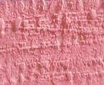 Caran d'ache neopastel - 081 pink