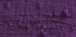 Caran d'ache neopastel - 110 lilac