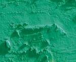 Caran d'ache neopastel - 201 veronese green