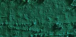 Caran d'ache neopastel - 210 emerald green