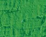Caran d'ache neopastel - 220 grass green