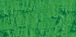 Caran d'ache neopastel - 220 grass green
