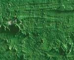 Caran d'ache neopastel - 225 moss green