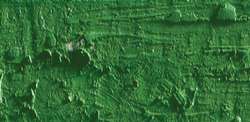 Caran d'ache neopastel - 225 moss green