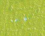 Caran d'ache neopastel - 230 yellow green