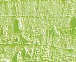 Caran d'ache neopastel - 231 lime green