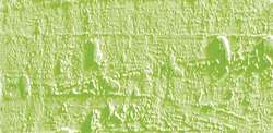 Caran d'ache neopastel - 231 lime green