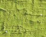 Caran d'ache neopastel - 245 light olive
