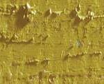 Caran d'ache neopastel - 249 olive