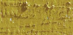 Caran d'ache neopastel - 249 olive