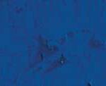 Caran d'ache neopastel - 260 blue