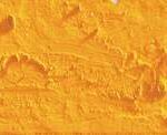 Caran d'ache neopastel - 300 fast orange