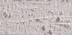 Caran d'ache neopastel - 402 light beige