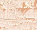 Caran d'ache neopastel - 491 cream