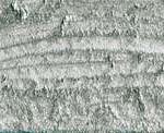 Caran d'ache neopastel - 498 silver