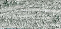 Caran d'ache neopastel - 498 silver