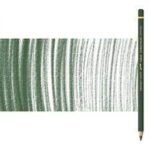 Caran d'ache pablo 019 olijf zwart