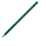 Caran d'ache pablo 200 blushgroen