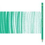 Caran d'ache pablo 215 grijs groen