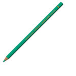 Caran d'ache pablo 215 grijs groen