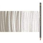 Caran d'ache pablo 405 beige fonce cocoa