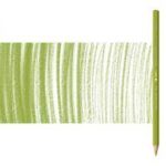 Caran d'ache supracolor soft 016 khaki