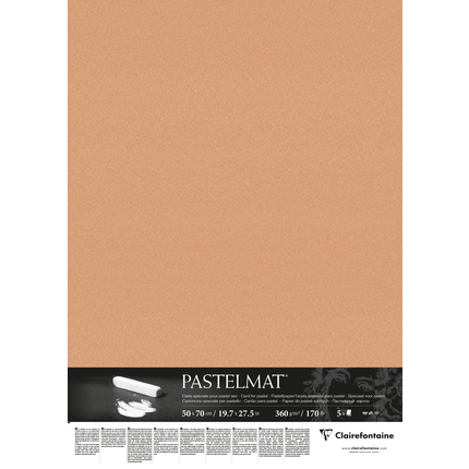 Clairefontaine pastelmat sienna naturel 50 x 70 - alleen afhalen Veenendaal