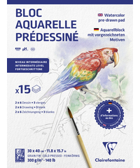 Clairefontaine watercolourpaper pre-drawn 30x40