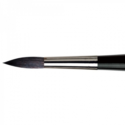 Da Vinci penseel casaneo serie 5598/16
