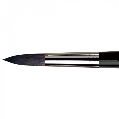 Da Vinci penseel casaneo serie 5598/20