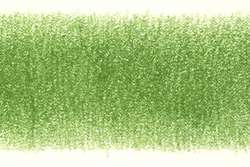 Derwent Coloursoft C430 peagroen