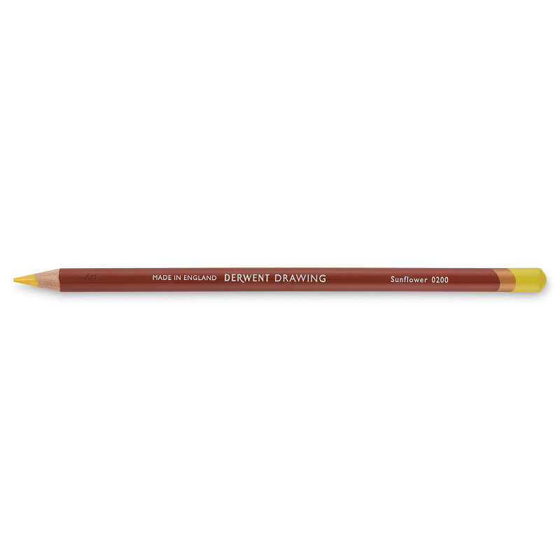 Derwent Drawing - 0200 sunflower