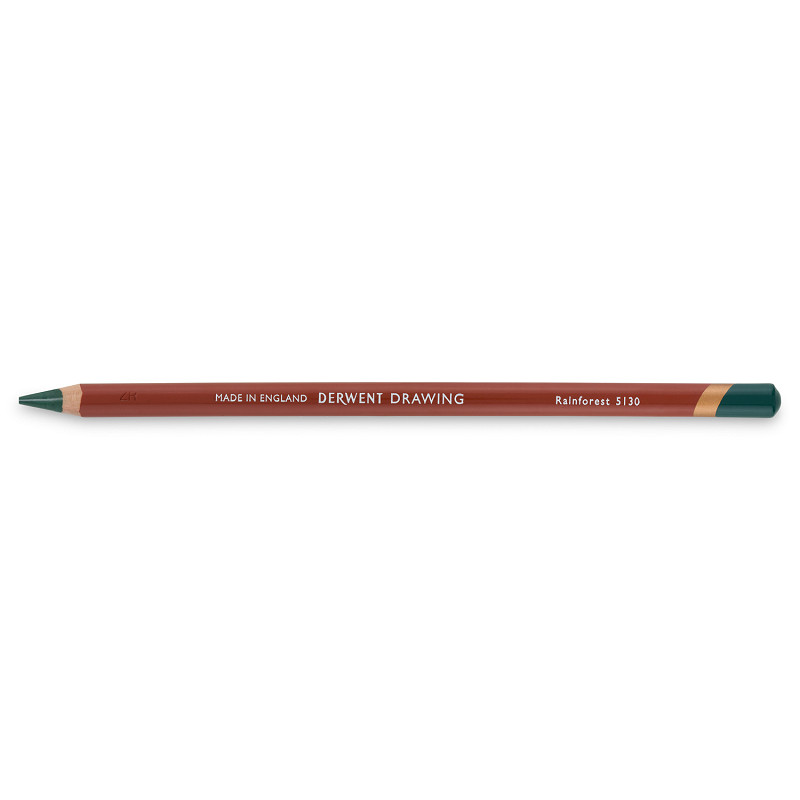 Derwent Drawing - 5130 rainforest