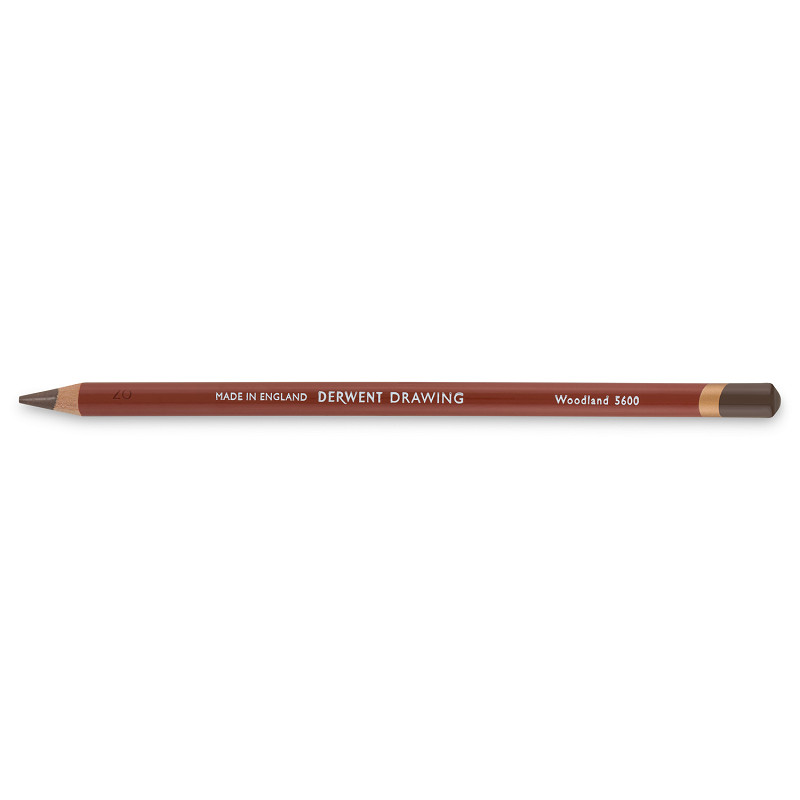 Derwent Drawing - 5600 woodland
