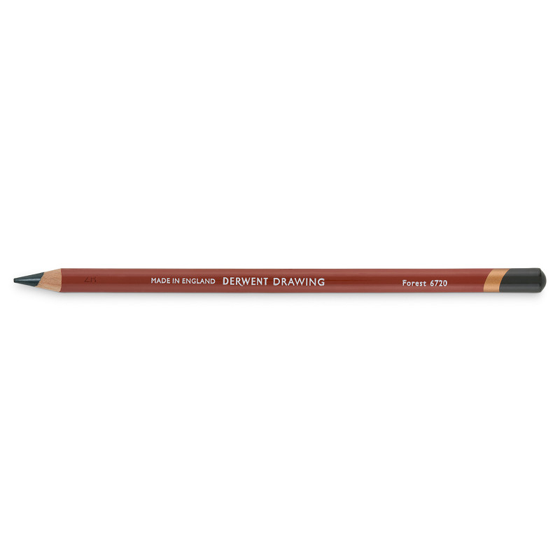 Derwent Drawing - 6720 forest
