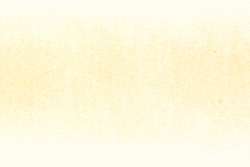 Derwent Procolour 04 champagne