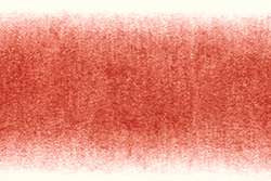Derwent Procolour 12 primairrood