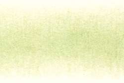 Derwent Procolour 45 lichtmos
