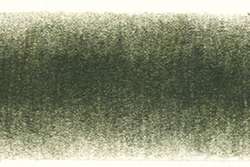 Derwent Procolour 48 cedergroen